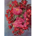 Red and Pink Roses