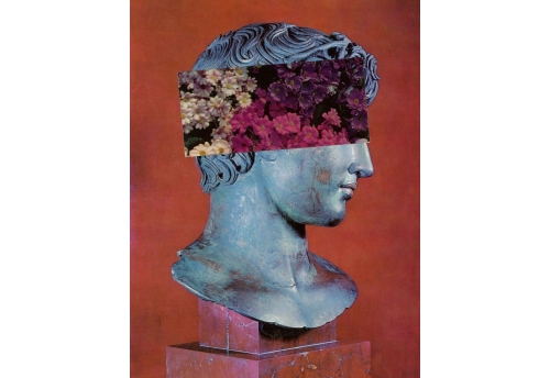 Flower Head