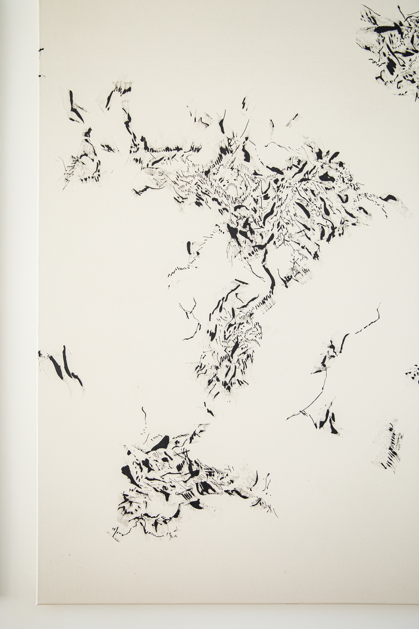 Untitled (240201)
