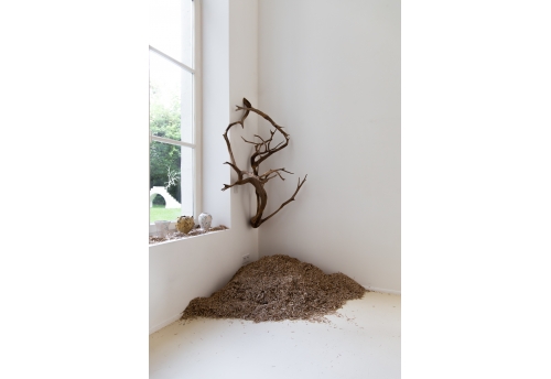 Au travers, des bois IV