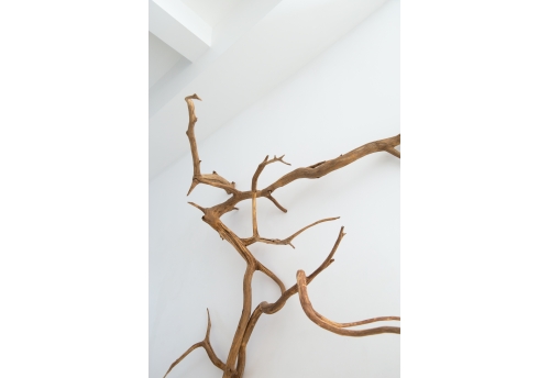 Au travers, des bois V