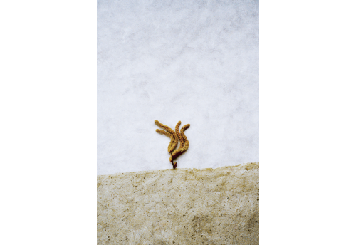 Horizons 8- (Small format)