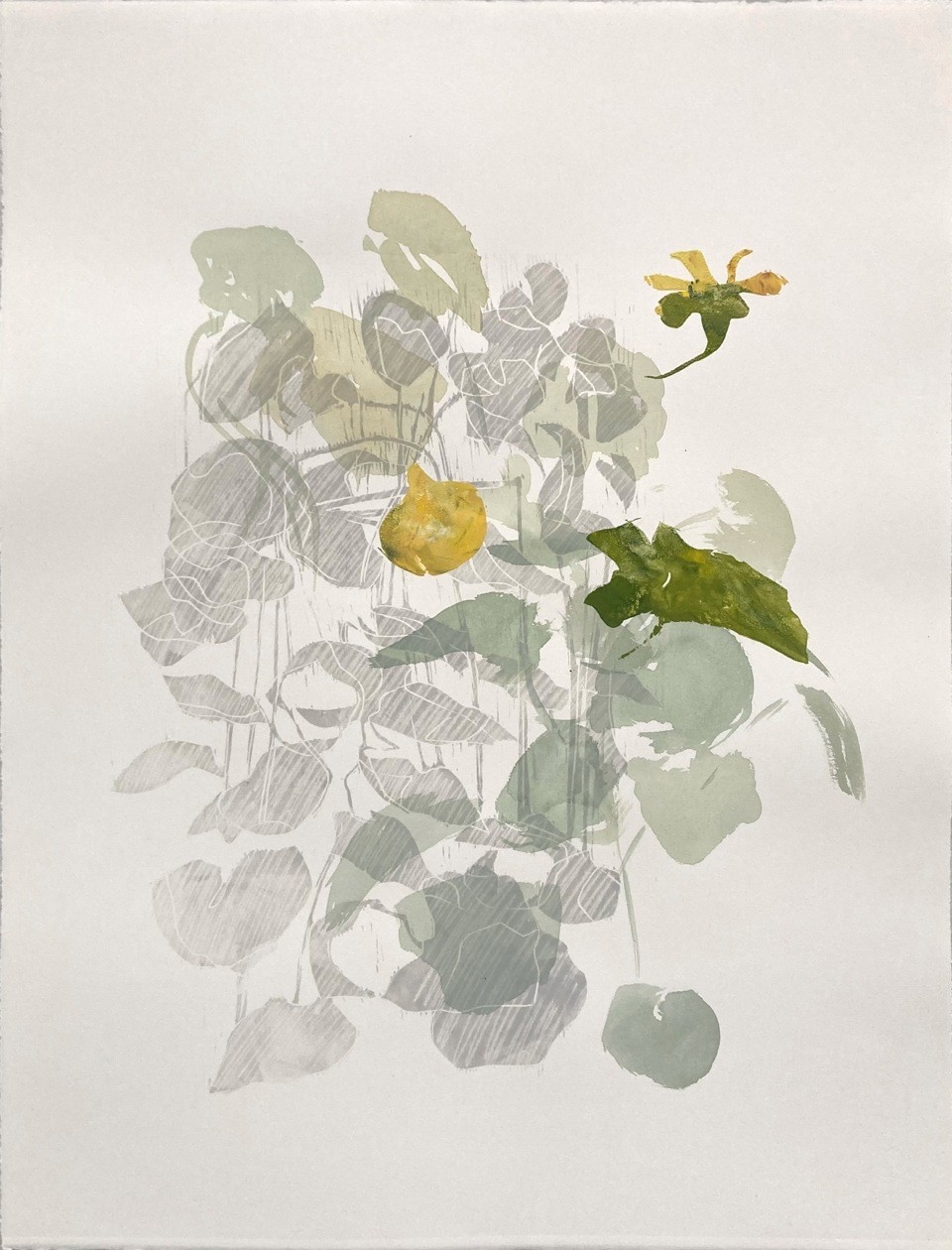 Jardin d'enfant, potager 3