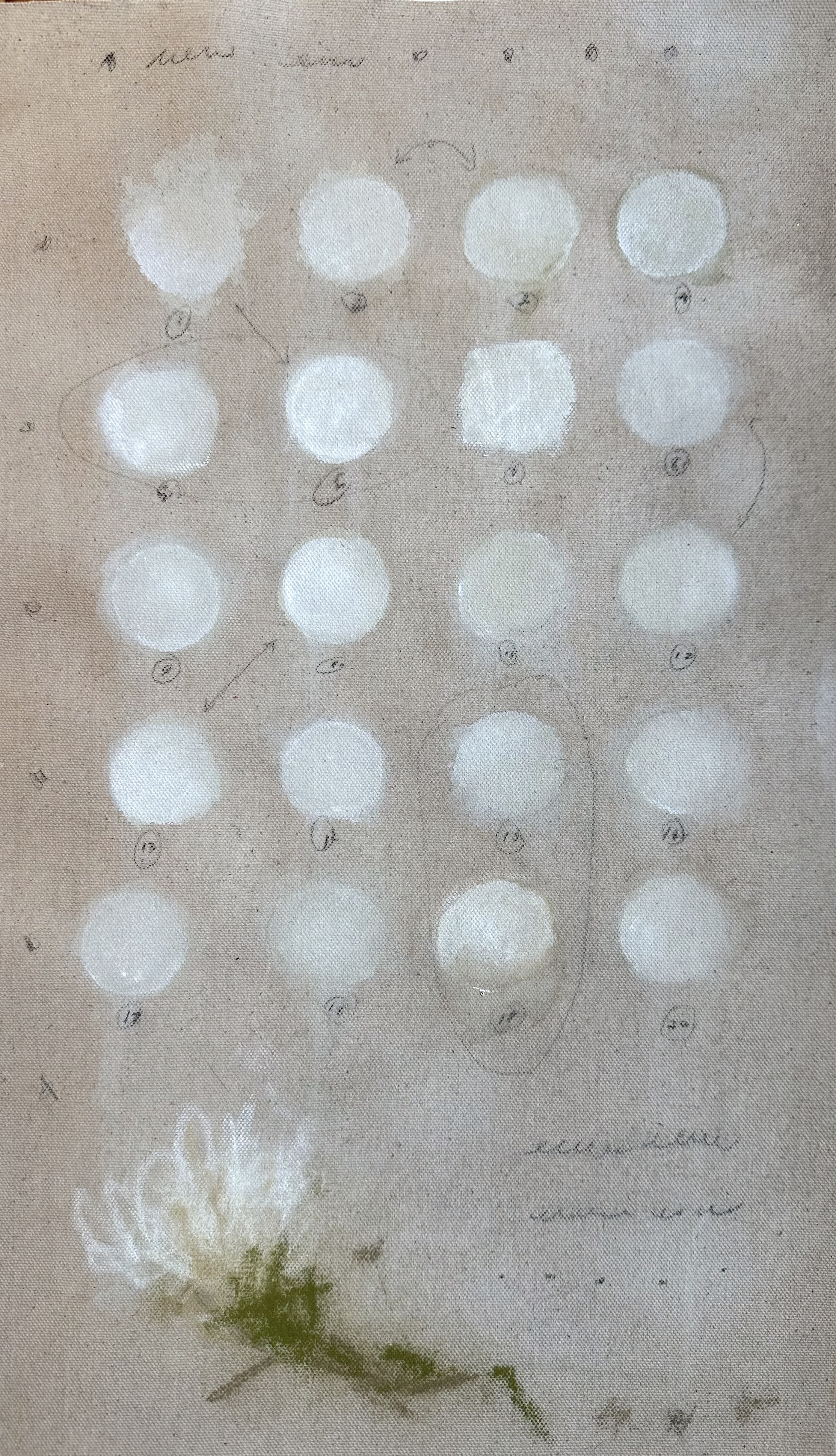 Language of the Birds 7