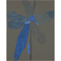Bloom 01