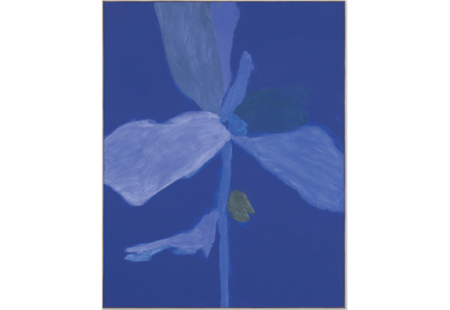 Bloom 03