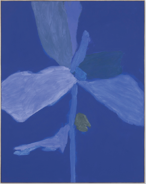 Bloom 03