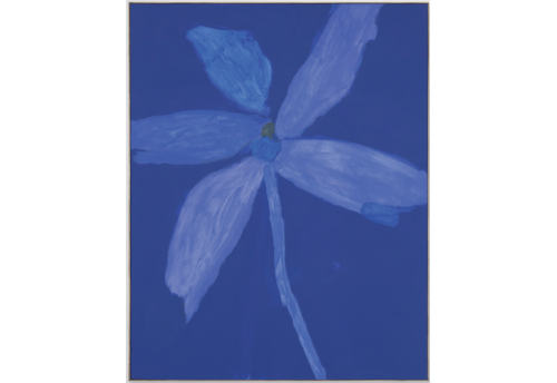 Bloom 07