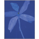 Bloom 07