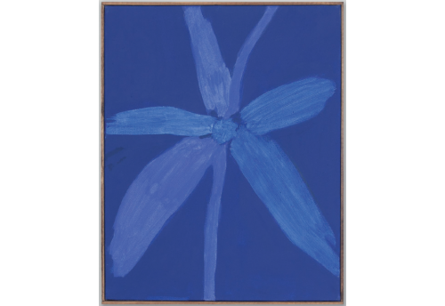 Bloom 13