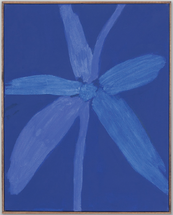 Bloom 13