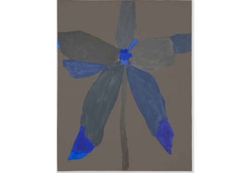 Bloom 15