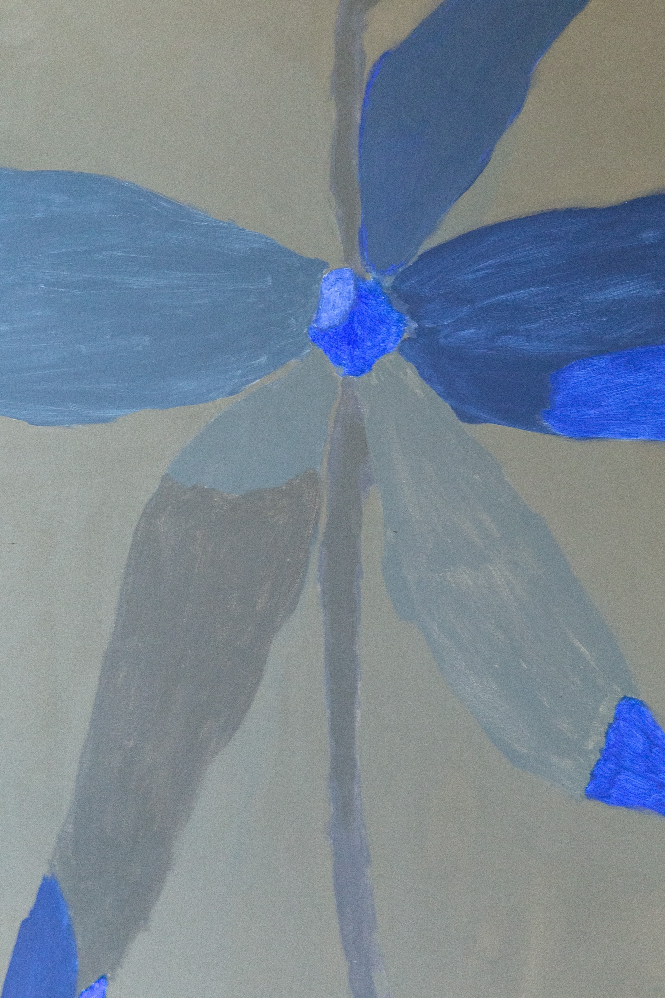 bloom-06