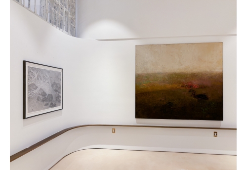 Forêts brisées III