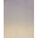Tonal Painting 23