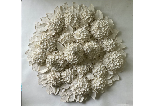 Hortensias d'été