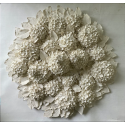 Hortensias d'été