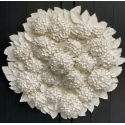 Hortensias d'été