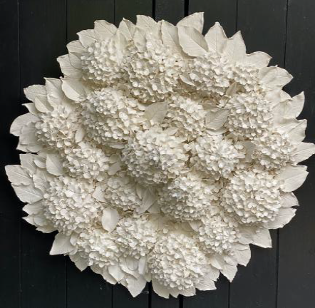 Hortensias d'été