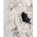 Hortensias d'été