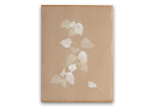 Poem R2456