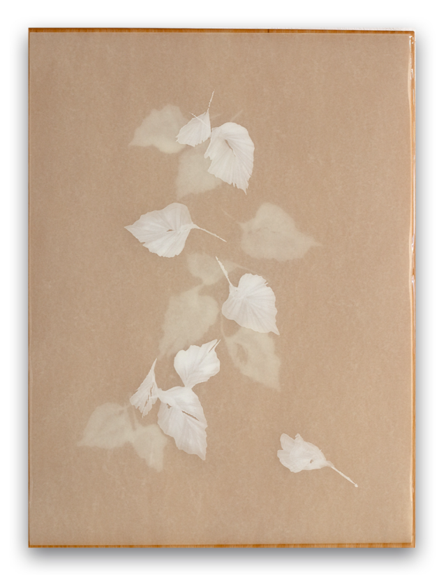 Poem R2456