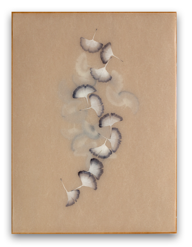 Poem R2457