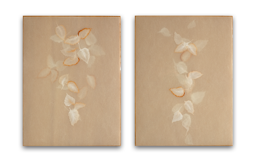 Poem R2503 & R2504