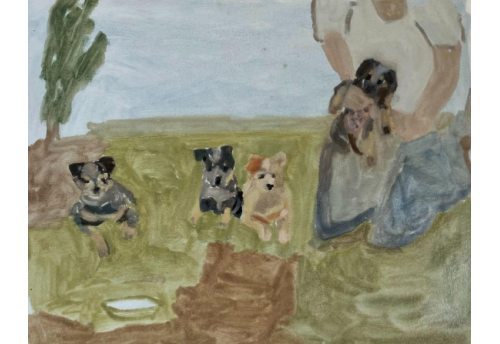 Baby blue heelers (Casey's litter)'