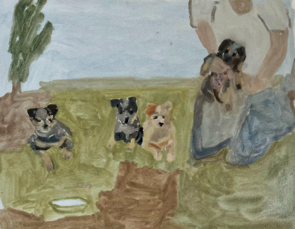 Baby blue heelers (Casey's litter)'