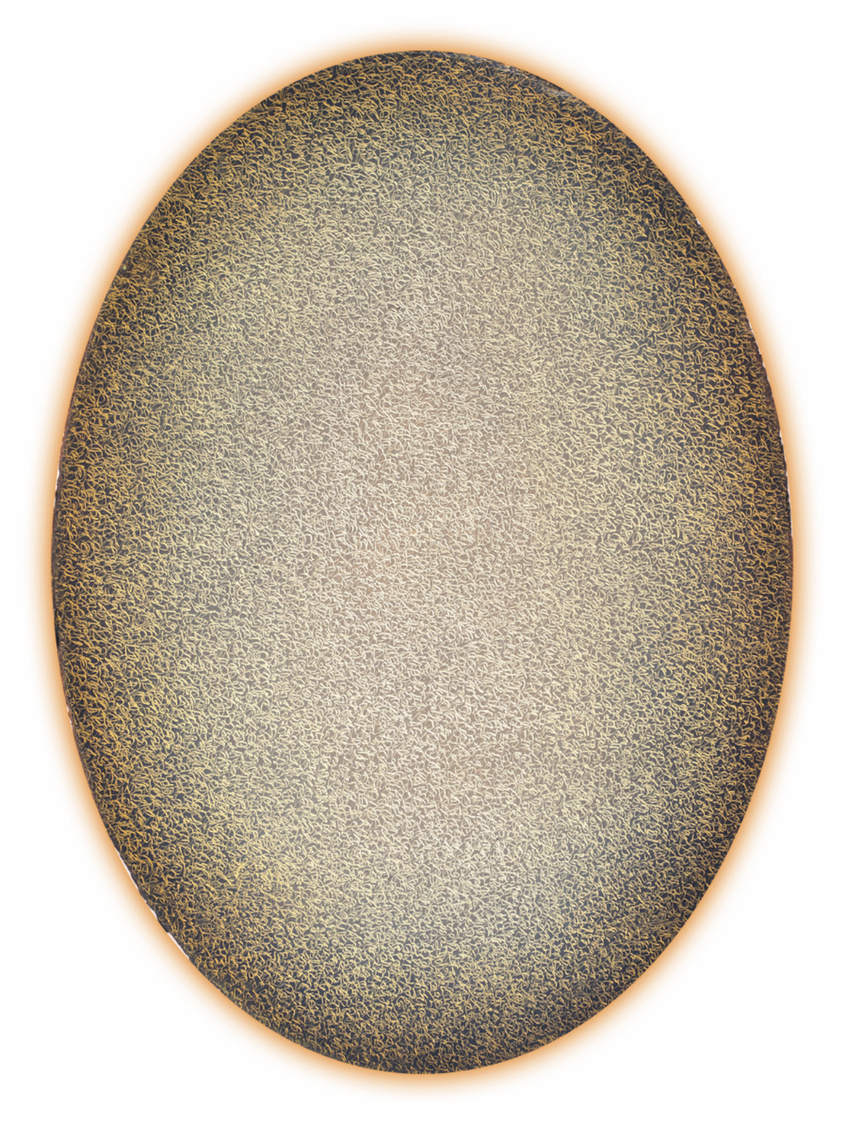 p00316 fermata