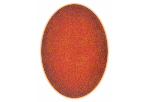 p00117 fermata