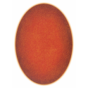 p00117 fermata