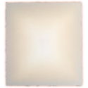 16724 on the nature of daylight