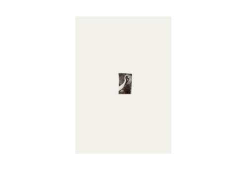 Petites mains 12 - Le Titien