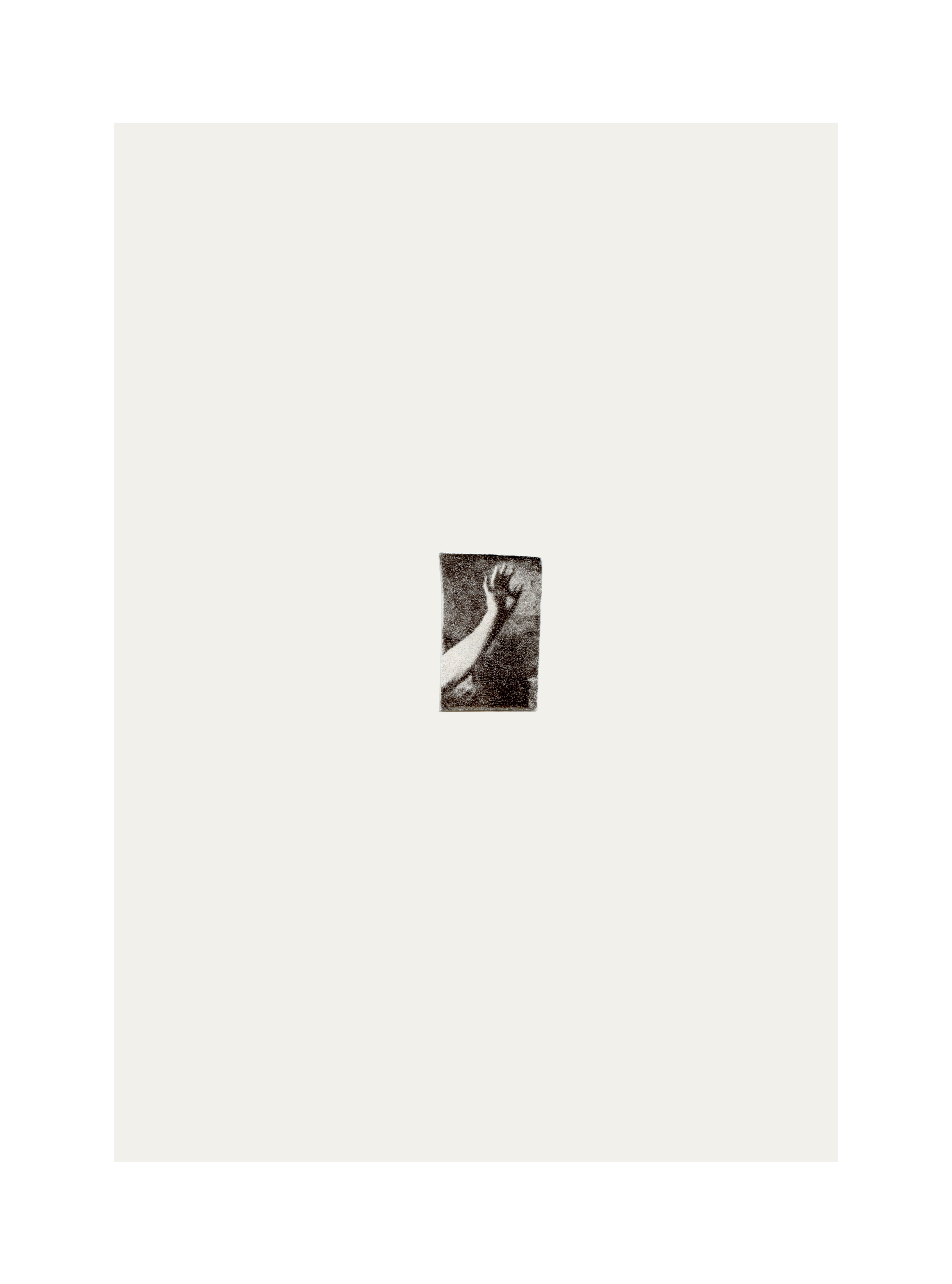 Petites mains 12 - Le Titien