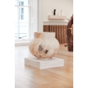 Horse chestnut land jar