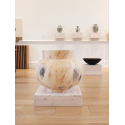 Horse chestnut land jar
