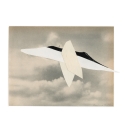 Oiseau 2
