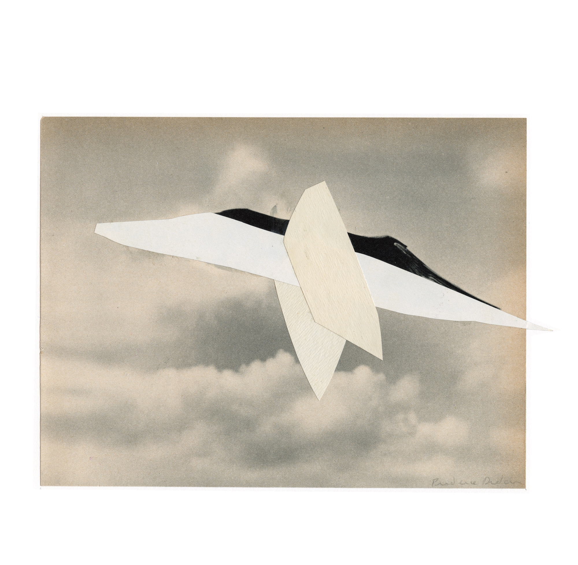 Oiseau 2