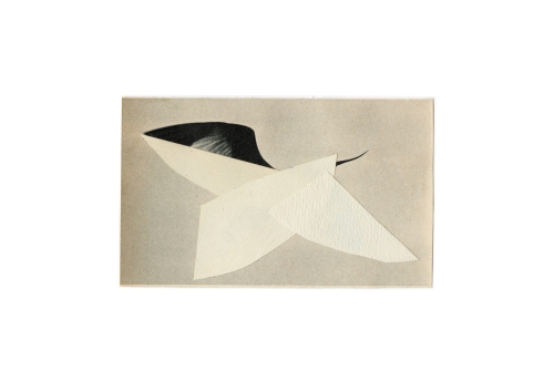 Oiseau 3