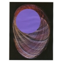 Coquillage violet