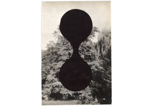 Arbre 2
