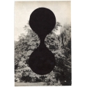Arbre 2