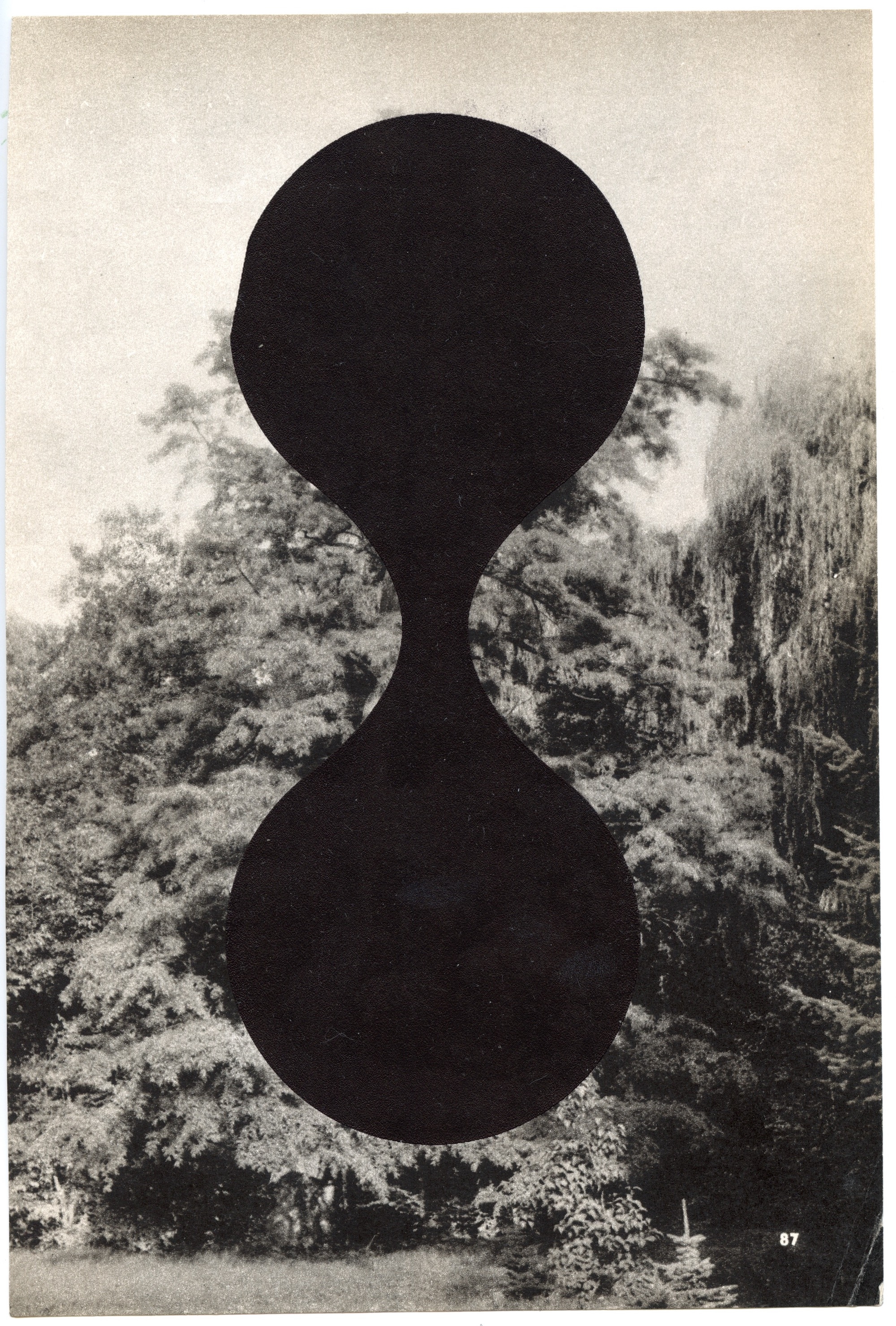 Arbre 2