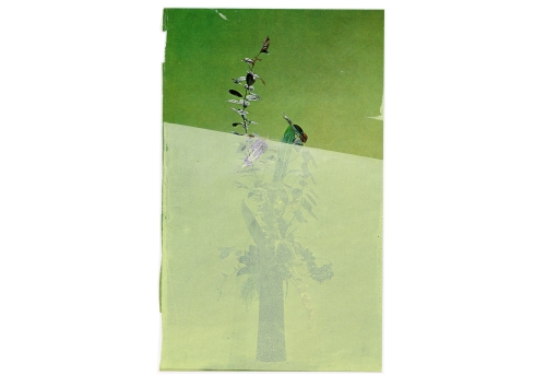 Ikebana jade