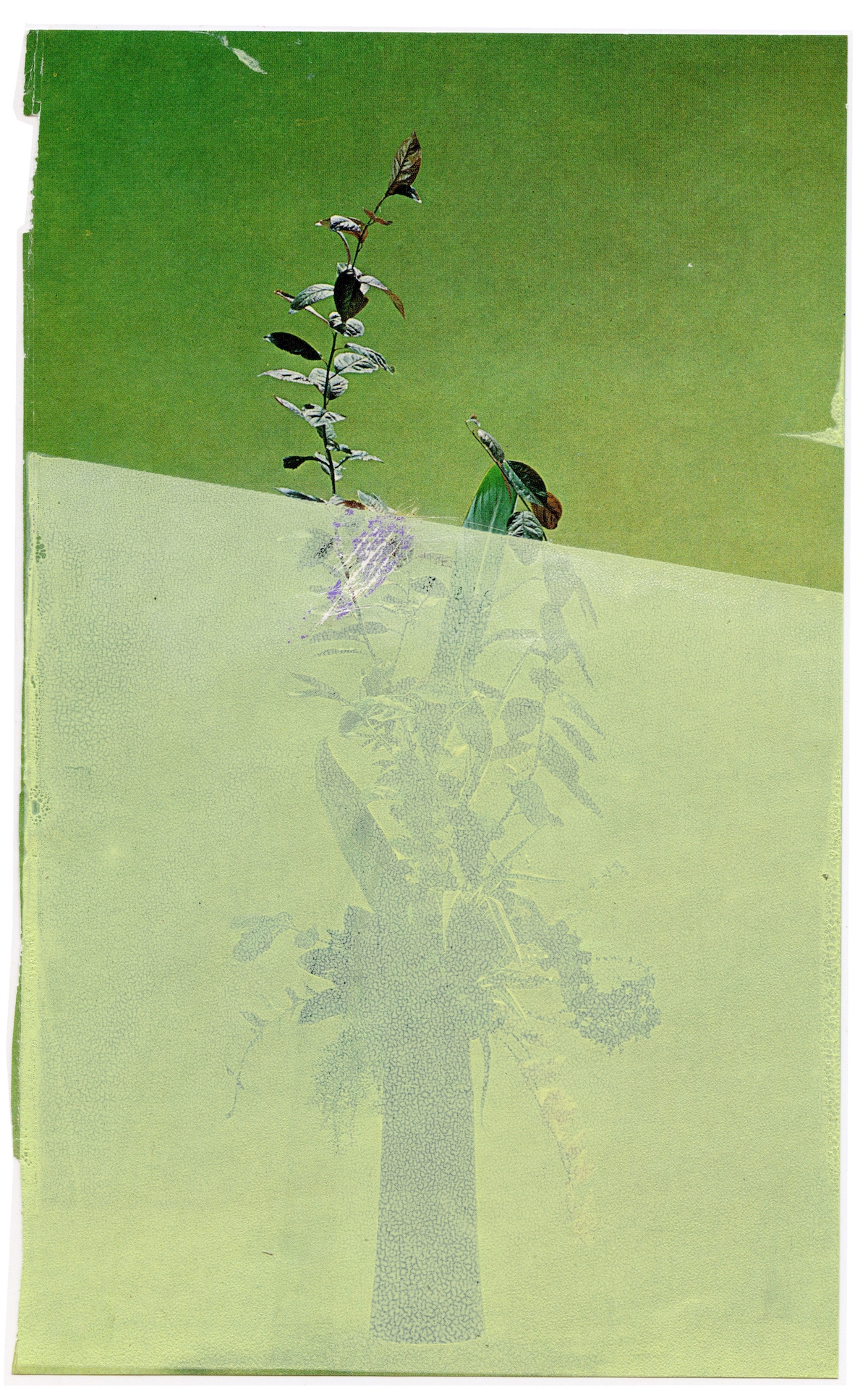 Ikebana jade