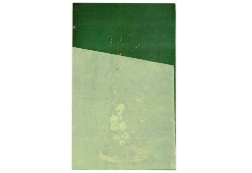 Ikebana jade 2