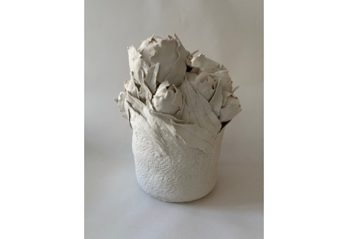 Pivoines d'hiver