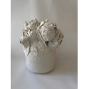 Pivoines d'hiver